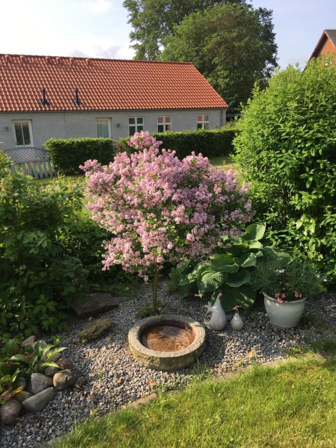 Ferienwohnung Anneks Til Bondehus Randers Exterior foto